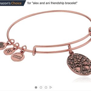Alex and ani friend bracelet